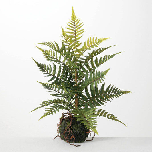 Kokedama Faux Fern Ball