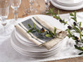 Load image into Gallery viewer, Striped Cotton Cloth Napkin