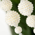 Load image into Gallery viewer, Pearl Beaded Ornament Set
