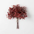 Load image into Gallery viewer, Red Eucalyptus Bundle
