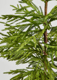 Load image into Gallery viewer, Artificial "Real Touch" 3' Norfolk Pine Tree
