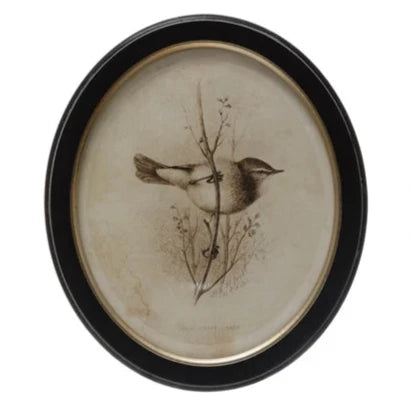 Oval Framed Vintage Bird Print