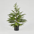 Load image into Gallery viewer, Artificial "Real Touch" 3' Norfolk Pine Tree
