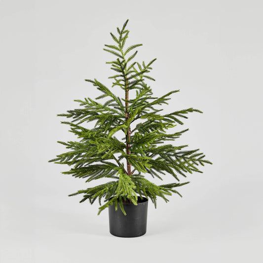 Artificial "Real Touch" 3' Norfolk Pine Tree