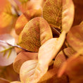 Load image into Gallery viewer, Golden Eucalyptus Bundle
